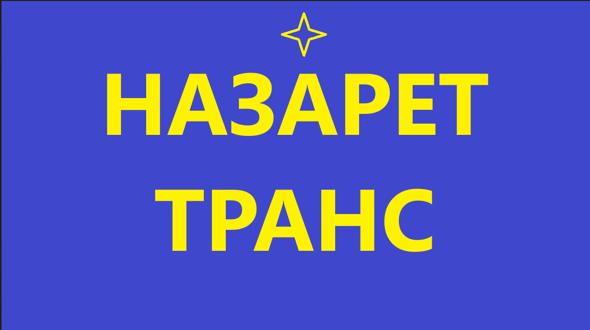 Бензин А-95 (Євро 5), АЗС НАЗАРЕТ ТРАНС, талон